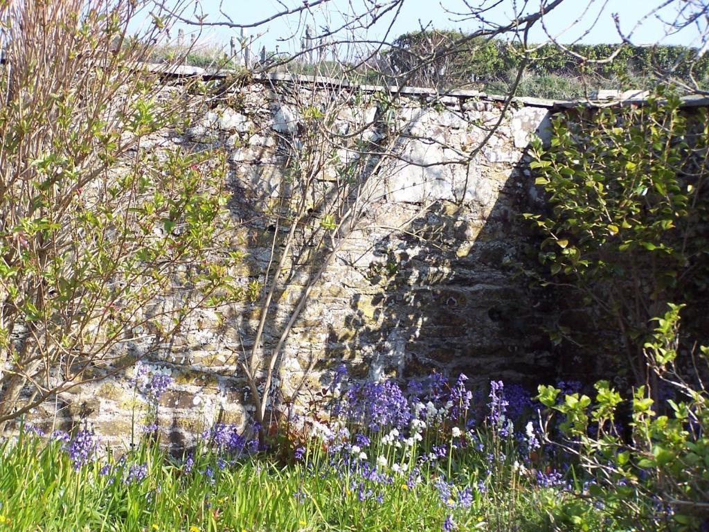 The Old Parsonage Bed and Breakfast Boscastle Esterno foto