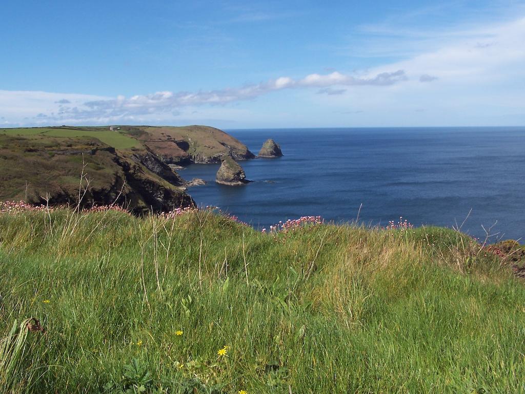The Old Parsonage Bed and Breakfast Boscastle Esterno foto